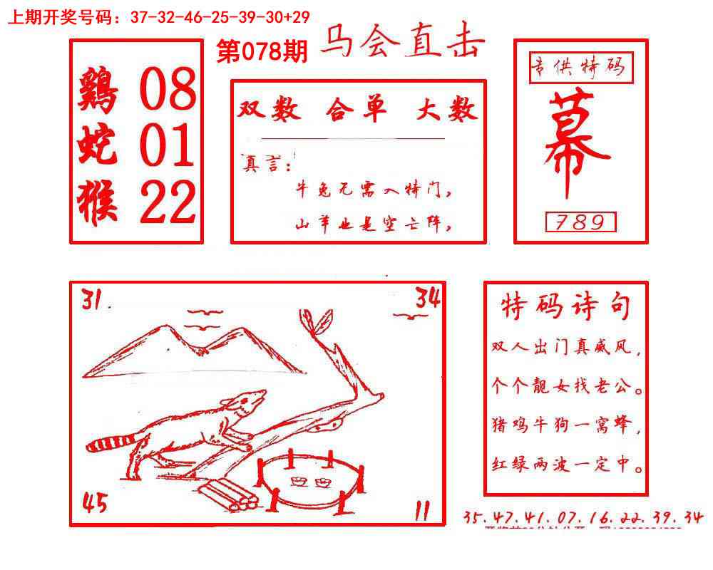 078期马会直击[图]